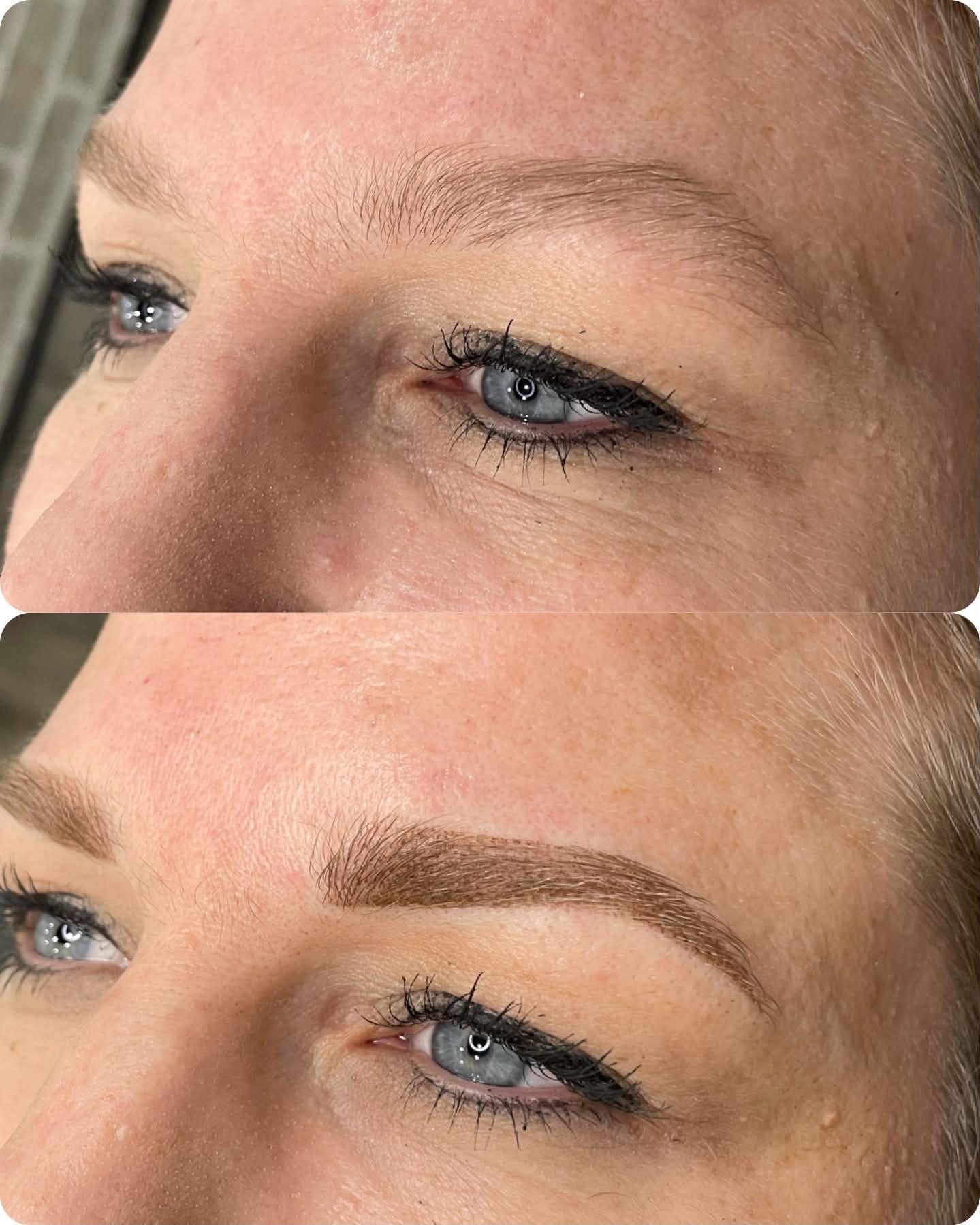 Powder brows